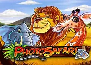Photo Safari